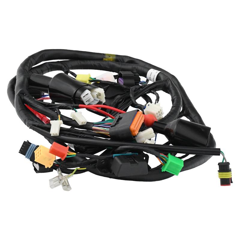 Glavni splet kablov euro5 - Znen Canoe 25 km/h - skuter