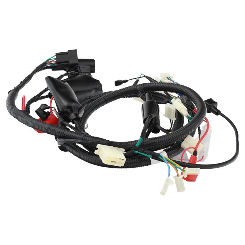 Glavni splet kablov euro5 - Longjia Roma XS - skuter