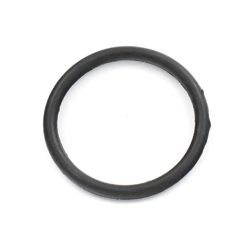 TESNILO O-RING 30,5X3 - VIPARD THERION