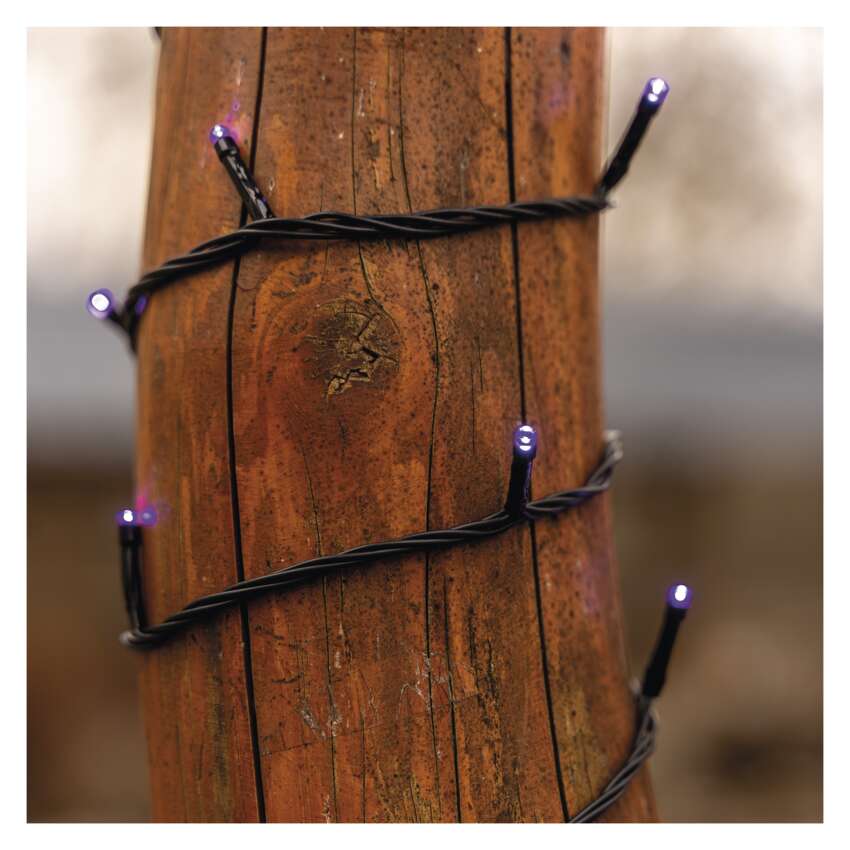Standard LED povezovalna božična veriga, 10 m, zunanja in notranja, vijolična