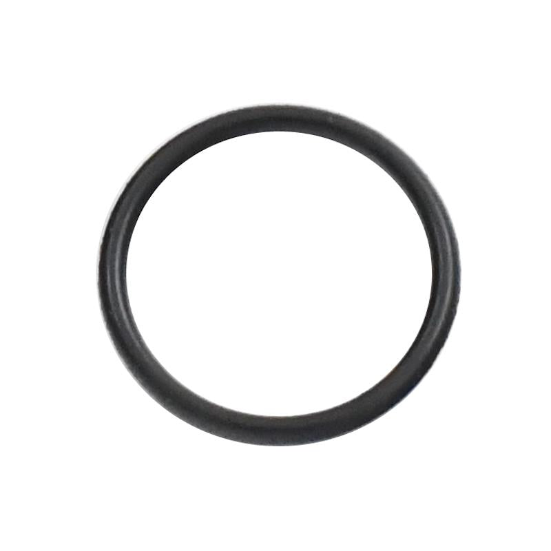 Tesnilo oljno 20,6x1,9 - Vipard Genova / Napoli - skuter