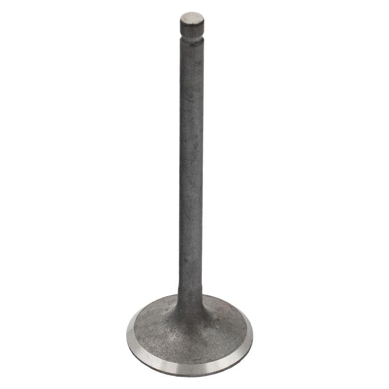 Sesalni ventil - Vipard Therion - skuter