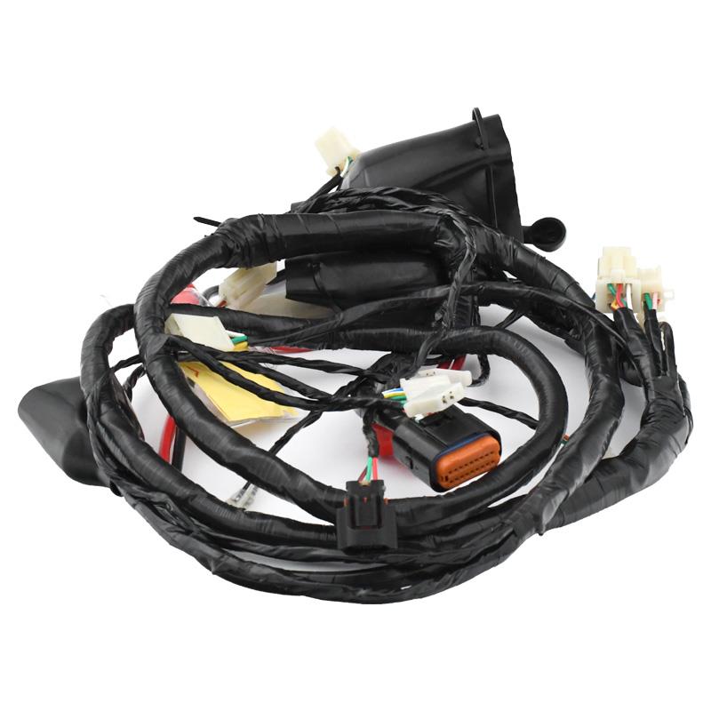 Glavni splet kablov euro4 - Znen Legend - skuter