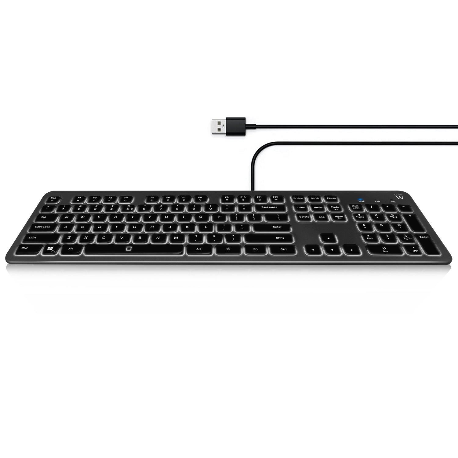 Tipkovnica Ewent Wired Illuminated Scissor, črna, USB, SLO EW3271