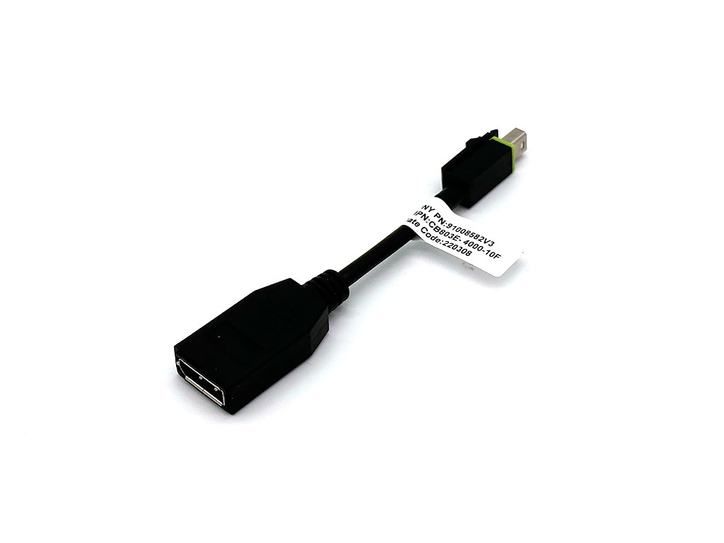 Adapter Mini DisplayPort v DisplayPort, z zaklepom, 0.1m, PNY