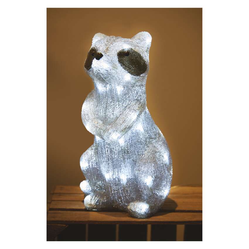 LED dekoracija – svetleči rakun, 39 cm, zunanja in notranja, hladna bela, časovnik