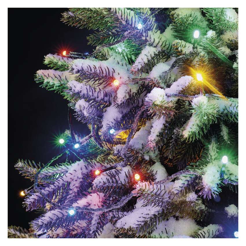 Standard LED povezovalna božična veriga, 10 m, zunanja in notranja, večbarvna