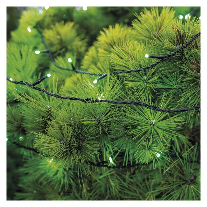 Standard LED povezovalna božična veriga, 10 m, zunanja in notranja, zelena