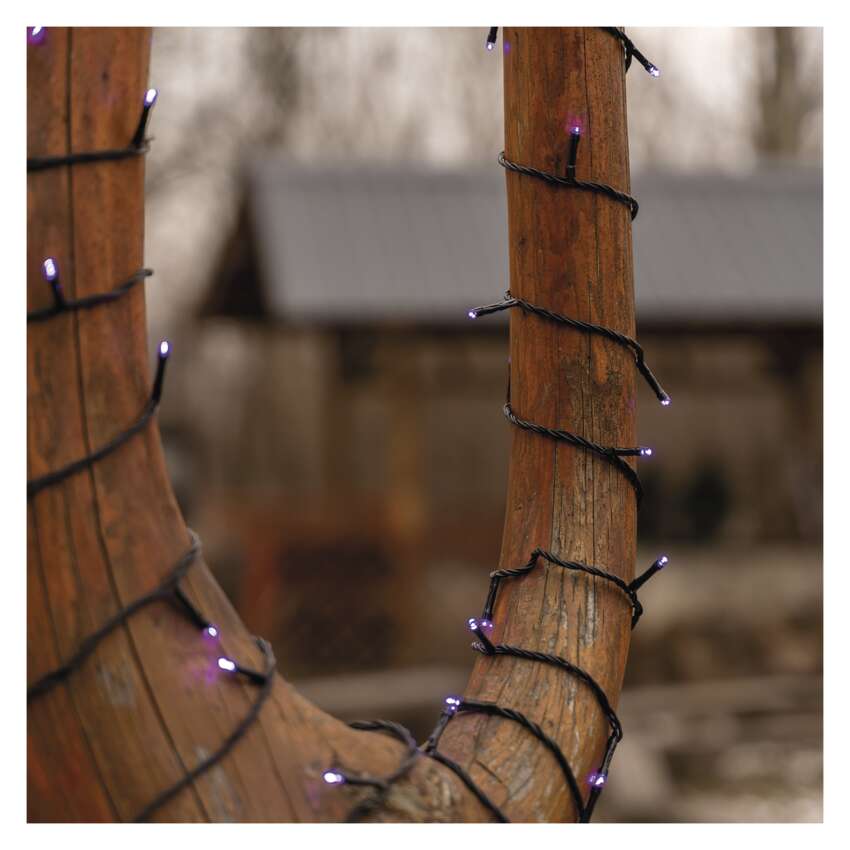 Standard LED povezovalna božična veriga, 10 m, zunanja in notranja, vijolična